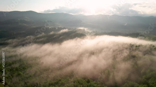 Wallpaper Mural Aerial view. Sunlight filters through mist, casting long shadows over dense forest below. Hills in distance add depth to scene, creating serene and mystical atmosphere as clouds roll over landscape. Torontodigital.ca