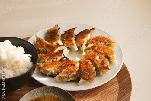 手作りの焼き餃子と白ごはん
