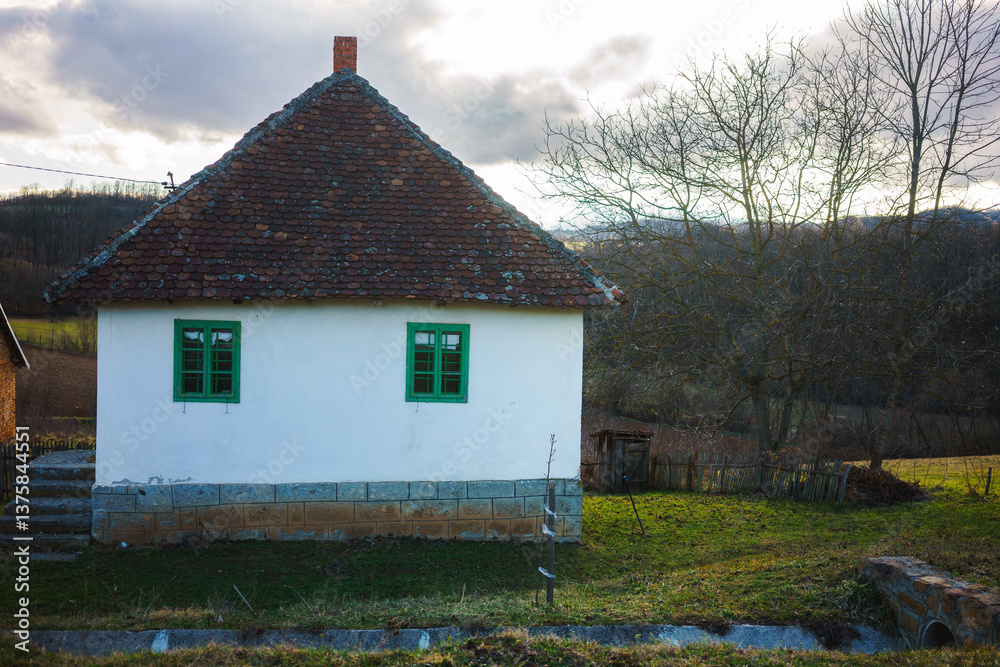 Fototapeta premium Rural household at the beginning of spring in Serbia