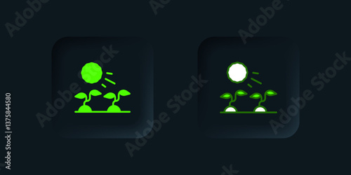 Green Plant sprouts grow in the sun icon isolated on black background. Seedling concept. Black square button. Vector