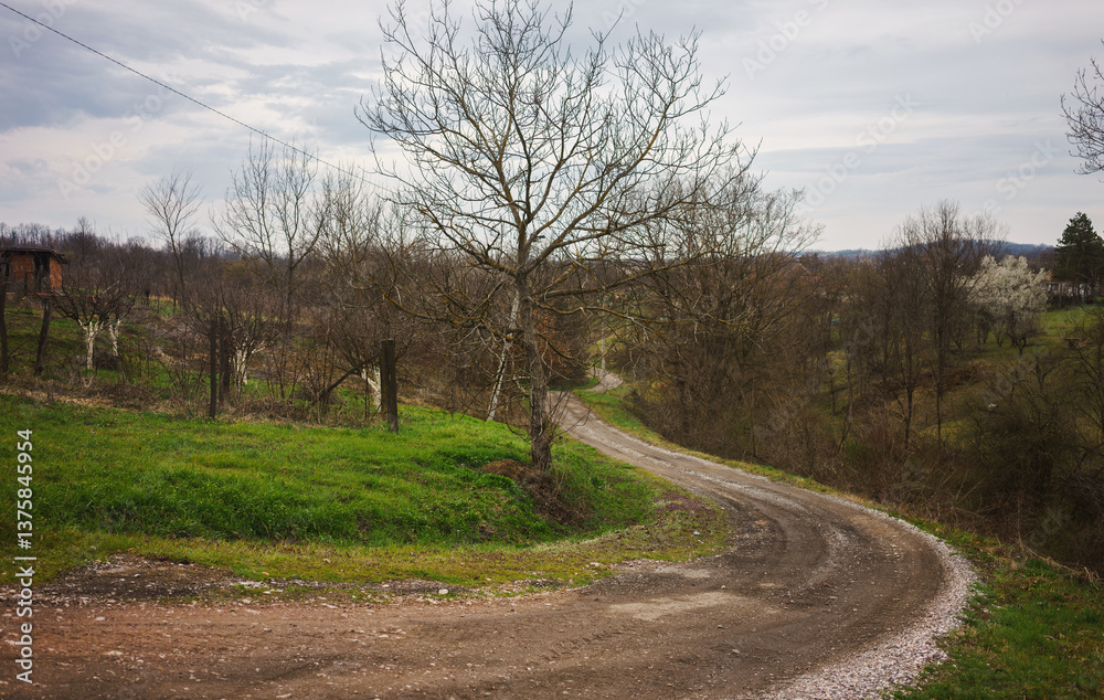 Fototapeta premium Country road in central Serbia