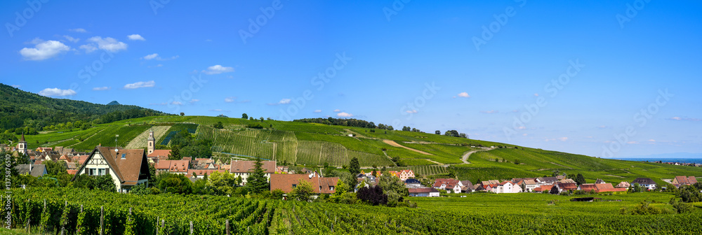 Ensisheim, Vine Growing Region Alsace, France