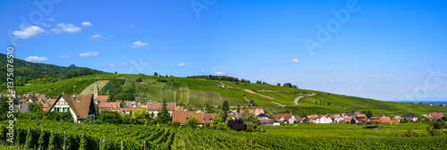 Obraz na płótnie Ensisheim, Vine Growing Region Alsace, France w salonie