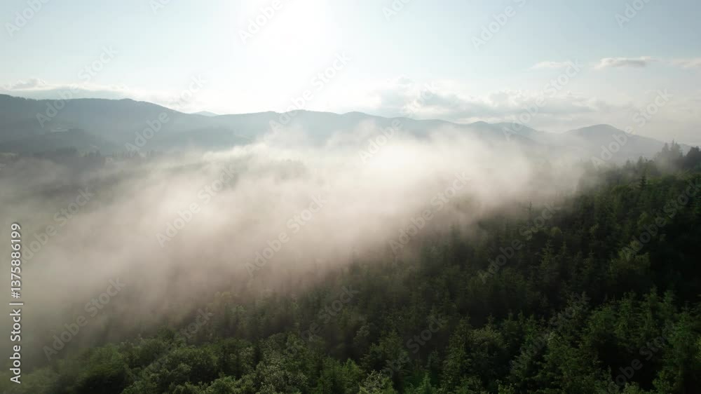 Stunning aerial view of dense forest blanketed in morning mist, with rolling green hills and distant mountains under pastel sky. Mist creates dreamy atmosphere, softening landscape's features. Stunning aerial view of dense forest blanketed in morning mist, with rolling green hills and distant mountains under pastel sky. Mist creates dreamy atmosphere, softening landscape's features.