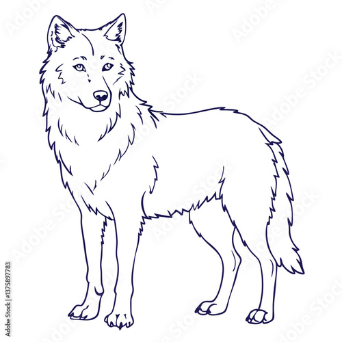 wolf---lone-wolf-standing--alert-pose-.eps