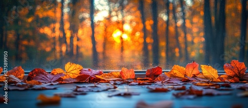 Autumn leaves on windowsill at sunset