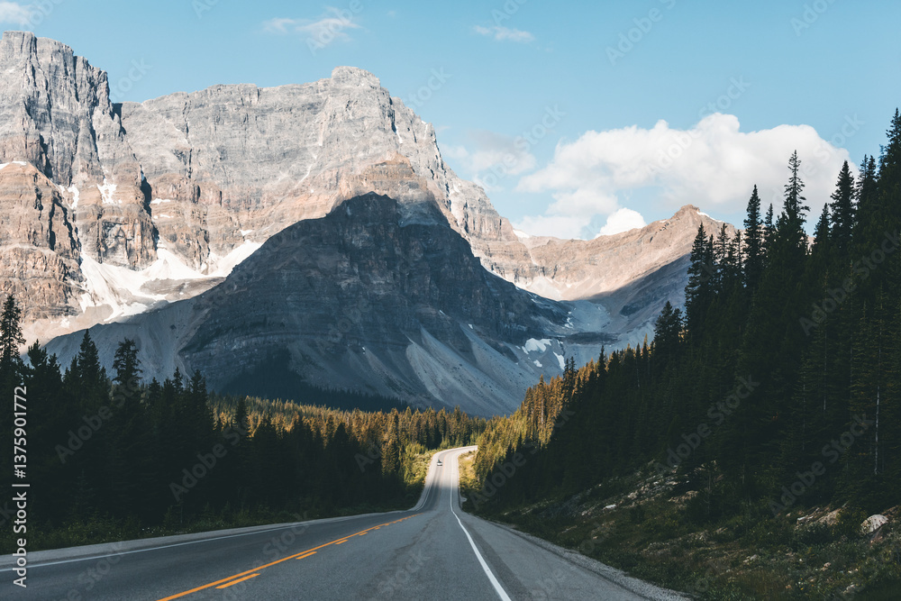 custom made wallpaper toronto digitallandscape and nature photograph shot during a summer journey in canada, with lakes, rocky mountains, animals and clouds through wide pine tree forests
