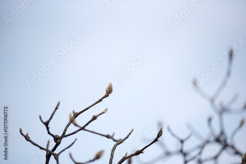 봄을 기다리며 2