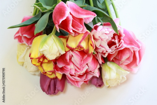 明るく色鮮やかなチューリップの花束。白バックで八重咲き、フリル咲きなど色々な品種でアレンジ