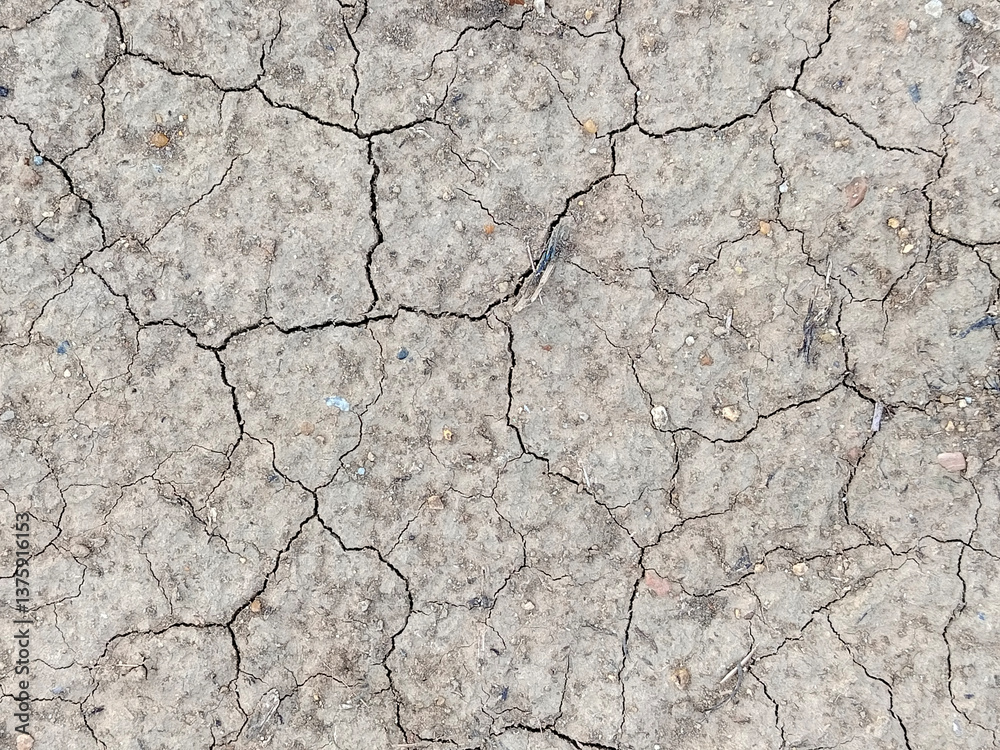 Fototapeta premium top view. dry soil surface texture background