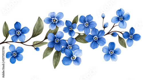Fototapeta Naklejka Na Ścianę i Meble -  Watercolor blue flowers with branch on black background, cut out transparent