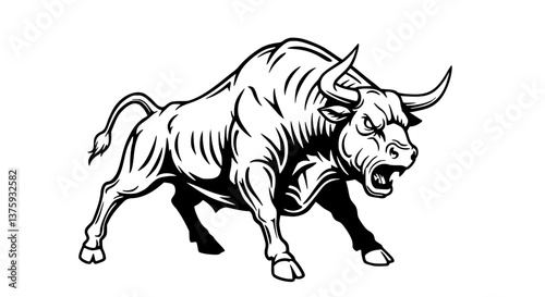 Aggressive bull charging forward, black and white, with sharp horns, isolated