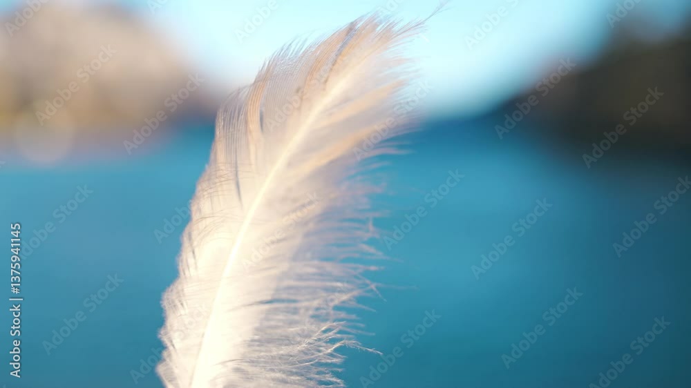 A delicate white feather sways in the wind, set against a softly blurred backdrop of Walensee, Switzerland. A serene and airy moment, capturing lightness and tranquility.