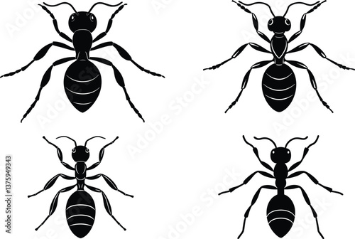 collection of insects, set of insects, set of insects vector,
 ant silhouette icon on white background.