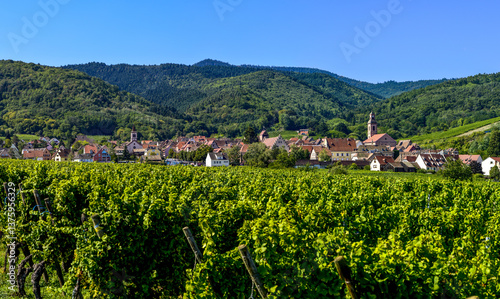 Obraz na płótnie Ensisheim, Vine Growing Region Alsace, France w salonie