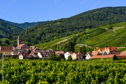 Obraz na płótnie Ensisheim, Vine Growing Region Alsace, France w salonie