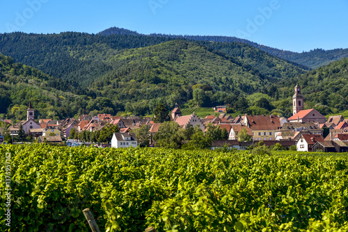 Obraz na płótnie Ensisheim, Vine Growing Region Alsace, France w salonie