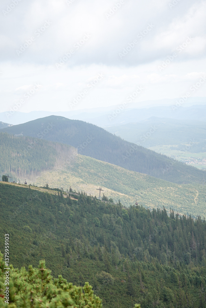 Obraz premium Green needle forest mountains with bright clouds, High Tatra National Park, Slovakia