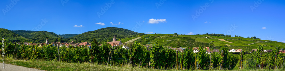 Ensisheim, Vine Growing Region Alsace, France