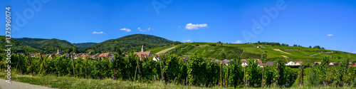 Ensisheim, Vine Growing Region Alsace, France