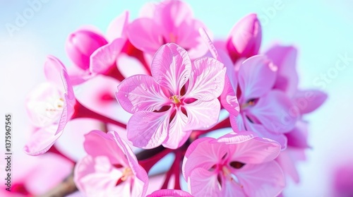 close up of pink flowers