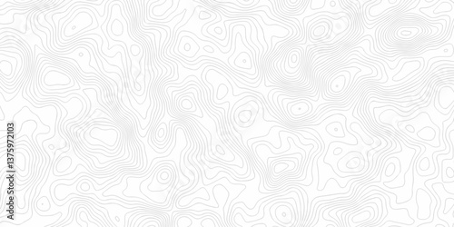 Abstract pattern with lines seamless pattern and topography map and counter map. abstract sea map and mounte map area space geometric line technology topo landscape grid map texture.	
