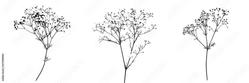 Black and white illustrations of delicate wildflowers on a plain background during a serene afternoon Black and white illustrations of delicate wildflowers on a plain background during a serene afternoon