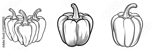 Illustration showcasing different types of bell peppers arranged in a simple design on a white background