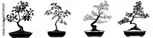 Bonsai trees displayed in various styles showcasing intricate artistry and design