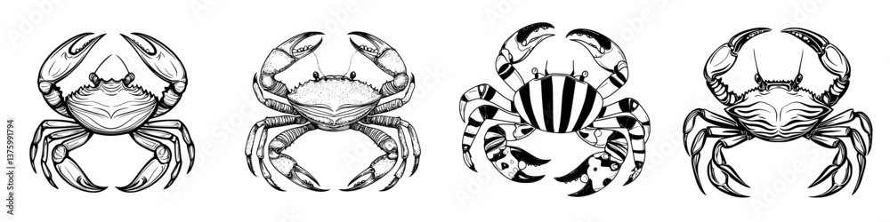 Unique black and white crab illustrations showcasing different species with intricate details and designs Unique black and white crab illustrations showcasing different species with intricate details and designs