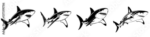 Illustrations of various Great White Sharks in dynamic swimming poses showcasing their powerful bodies and sharp teeth