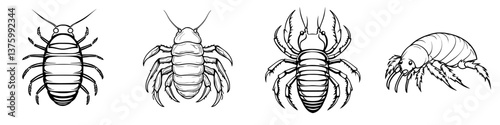 Various types of insects and crustaceans in detailed black and white illustrations showing intricate body structures and features