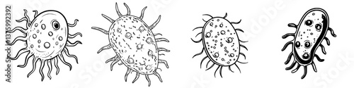 Four detailed illustrations of bacteria showcasing various shapes and features in a scientific context