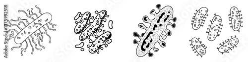 Illustrations of various bacteria illustrating their shapes and structures in a biological context
