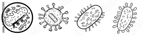 Various depictions of microorganisms illustrating diversity in shape and size observed under a microscope in a laboratory setting