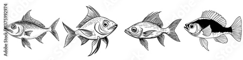 Collection of various fish species illustrated in black and white
