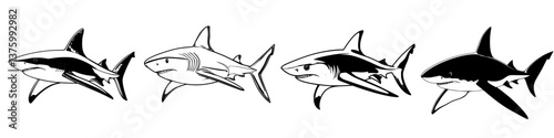 Different species of sharks displayed in a minimalist black and white style highlighting their distinct features