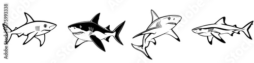 Various types of sharks swimming in a stylized black and white illustration