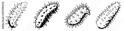 Unique spiky cucumbers displayed on a wooden surface in a natural setting at midday