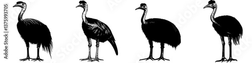 Various poses of an ostrich displayed in a black silhouette style