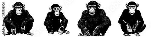 Various stages of chimpanzee development showcasing infant, juvenile, and adult chimps in a playful arrangement