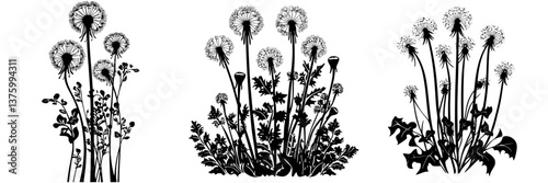 Dandelions in various stages of blooming surrounded by lush green foliage on a sunny day