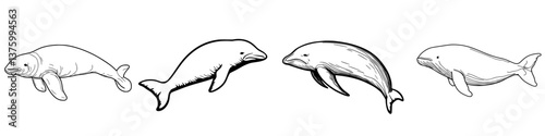 Different species of marine mammals swimming gracefully in a coastal habitat showcasing their unique characteristics and forms