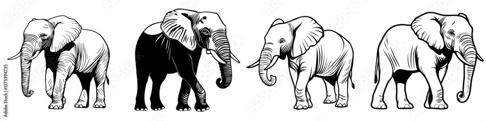 Different sketches of elephants showcasing various postures and styles in black and white Different sketches of elephants showcasing various postures and styles in black and white