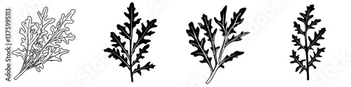 Different styles of arugula leaves illustrated in black and white showcasing natural patterns and shapes