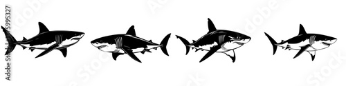 Different stages of a shark swimming underwater in a monochrome style showcasing its elegance and power