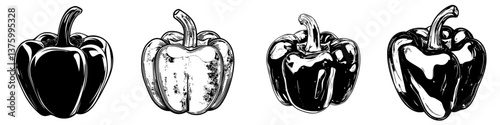 Colorful bell peppers in various stages of ripening displayed on a clean white background in a creative layout