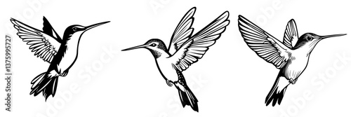 Artistic representation of three hummingbirds in flight showcasing their detailed features and vibrant wings