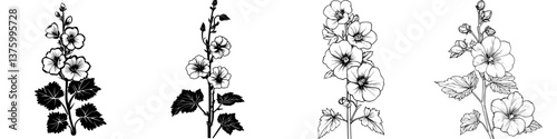 Black and white sketches of hollyhock flowers displaying various stages of growth and detail for artistic inspiration and botanical studies
