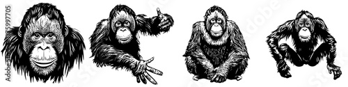 Illustrative depiction of playful primates showing various expressions and poses in a creative style